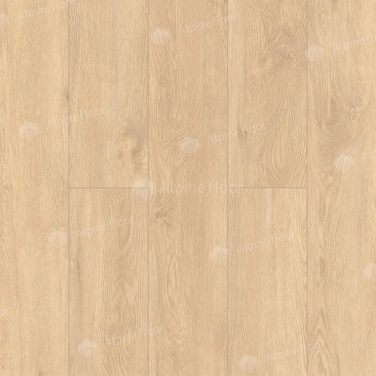 Alpine Floor Камфора ECO 11-503 — изображение 3