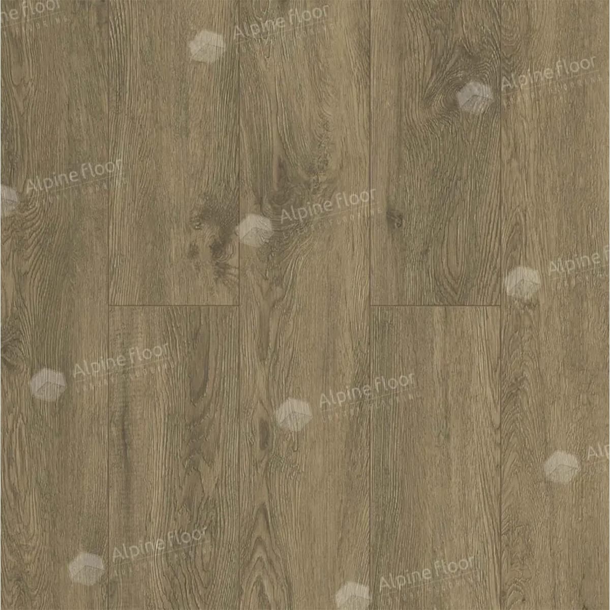 Alpine Floor Маслина ECO 11-1102 — изображение 3